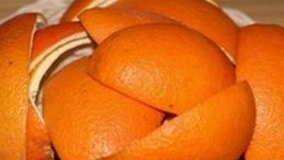 橙子皮的妙用--橙子皮养花，酸性大，肥力足堪比花肥